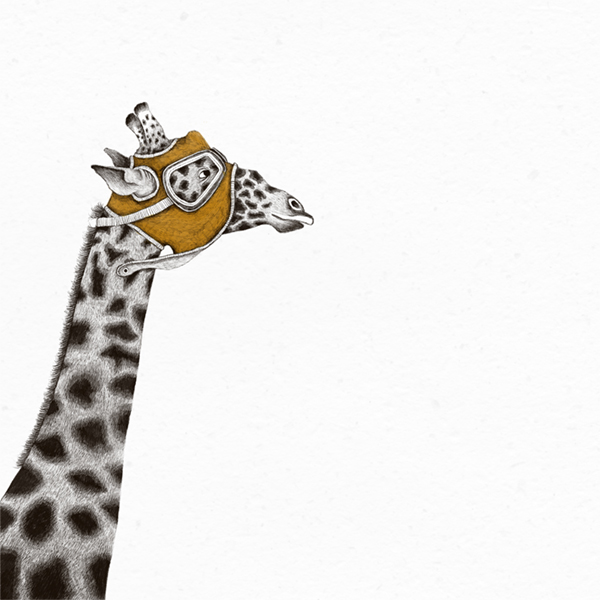 Cerca la tua trama (Workshop)