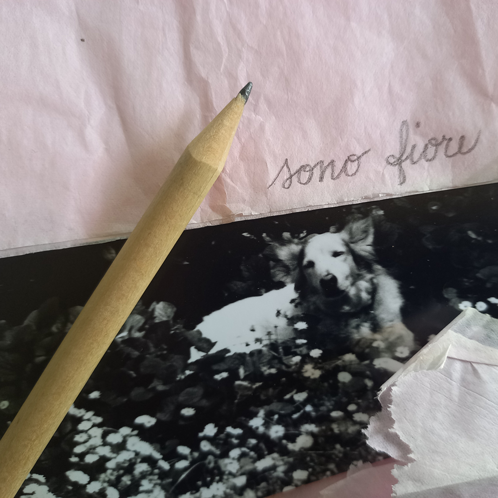 Pensieri selvatici (Workshop)