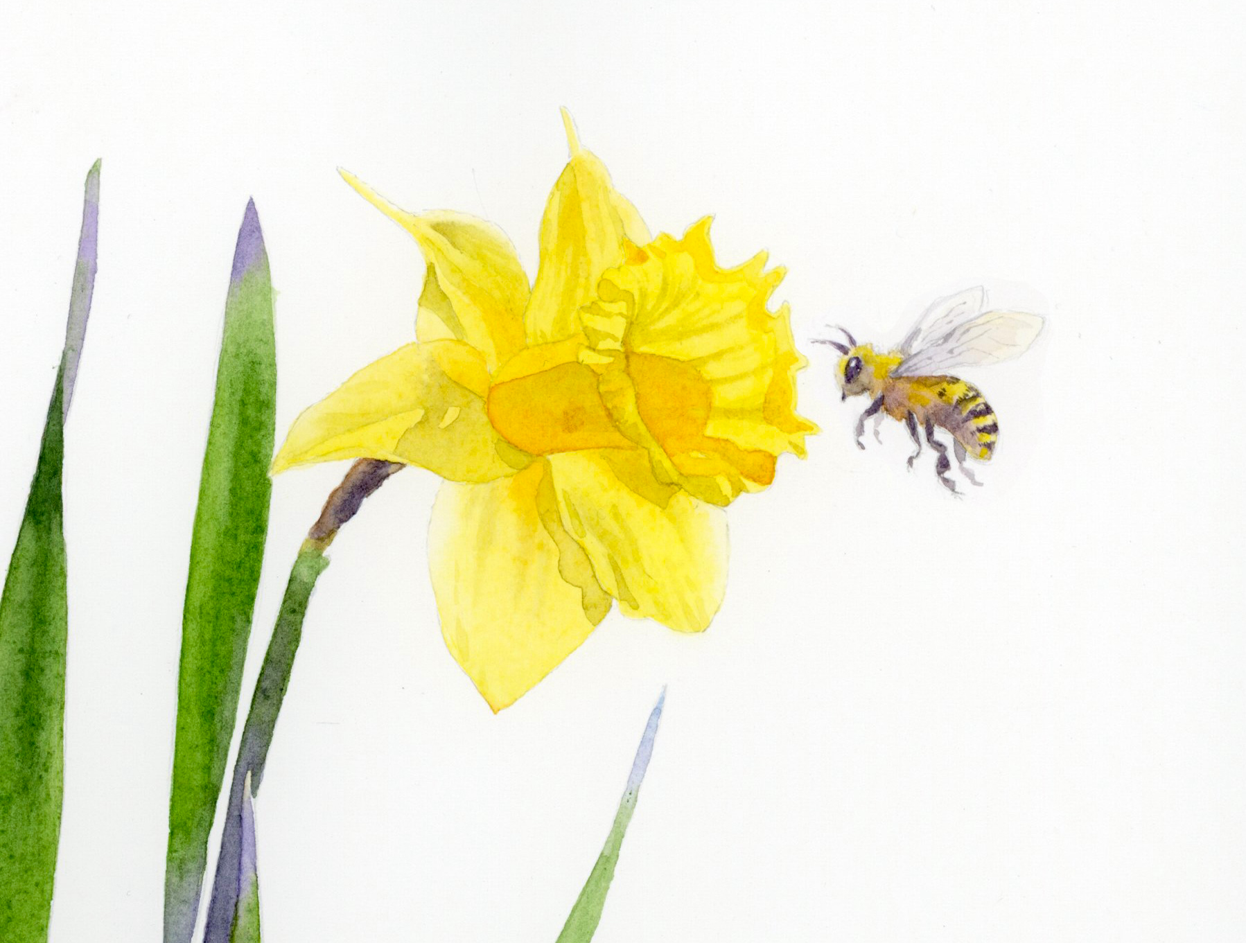 Giovanni Manna - Un’ape e un trifoglio. Illustrare Emily Dickinson (workshop)