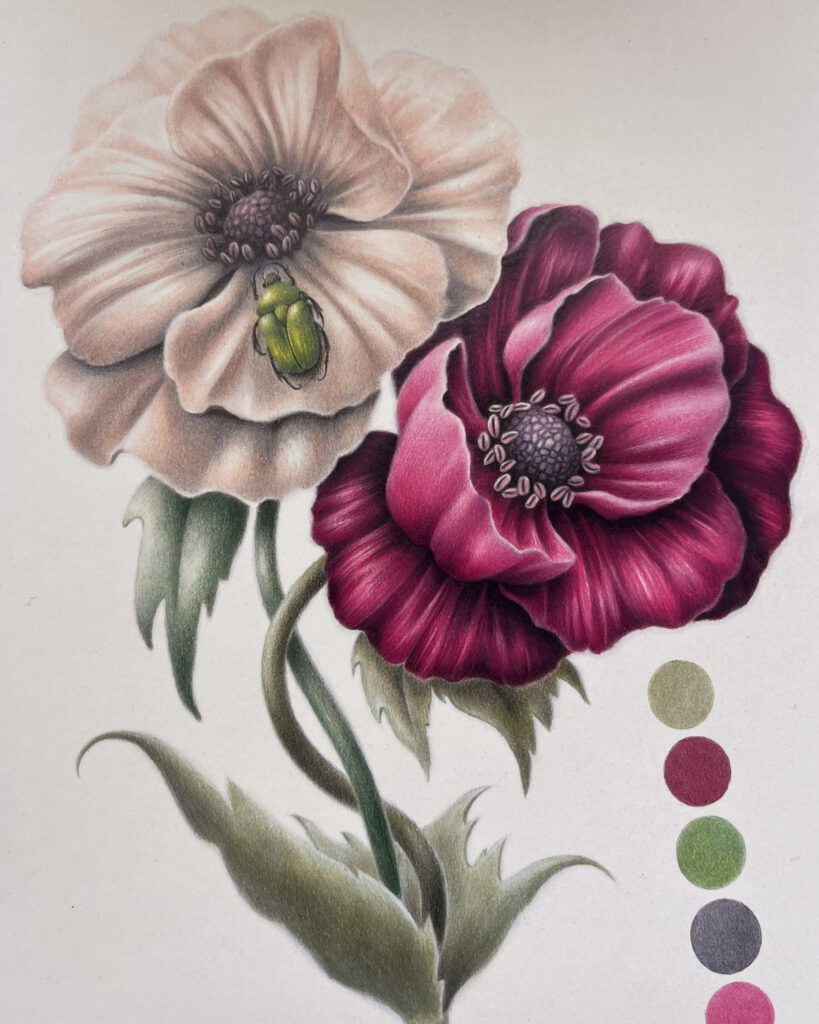 Matite & Tulipani - l’illustrazione naturalistica: reinterpretare la natura in una immagine.