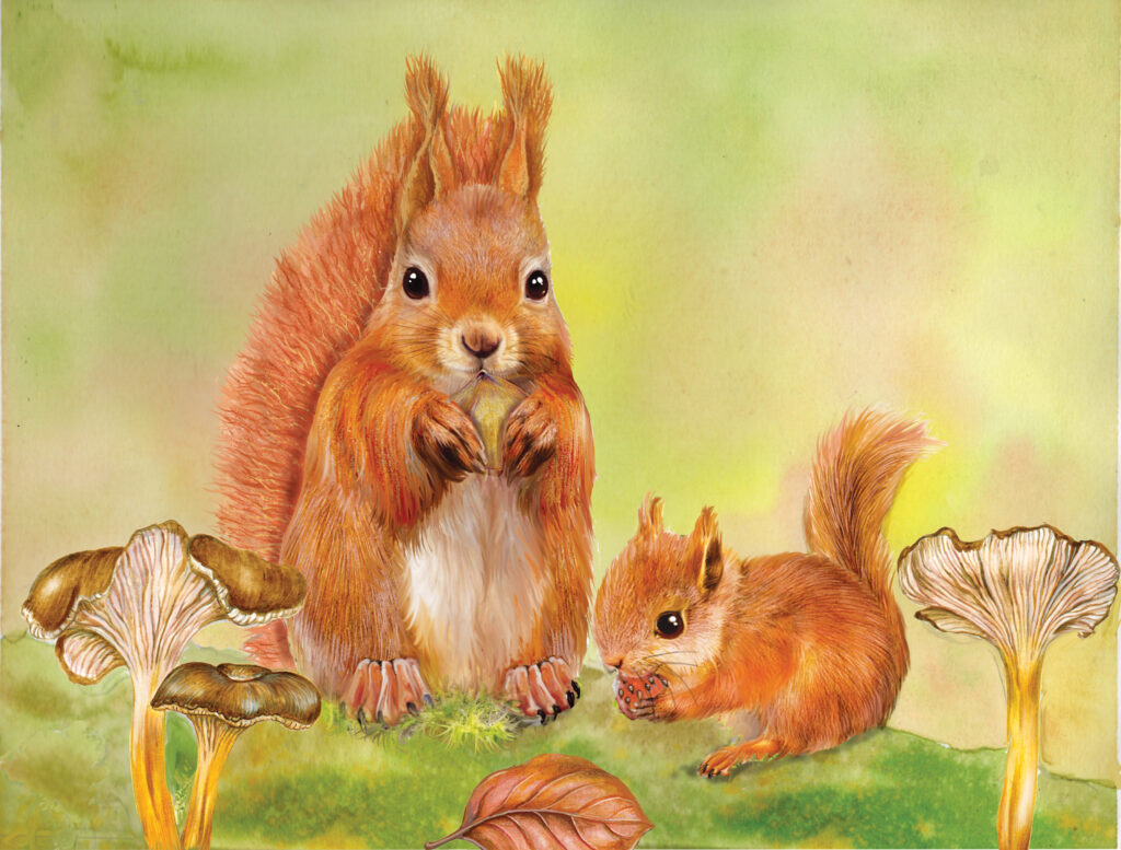 LA TAVOLOZZA DEL BOSCO IN AUTUNNO - Workshop di acquerello con Winsor & Newton