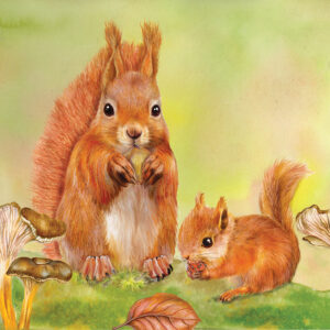 LA TAVOLOZZA DEL BOSCO IN AUTUNNO - Workshop di acquerello con Winsor & Newton