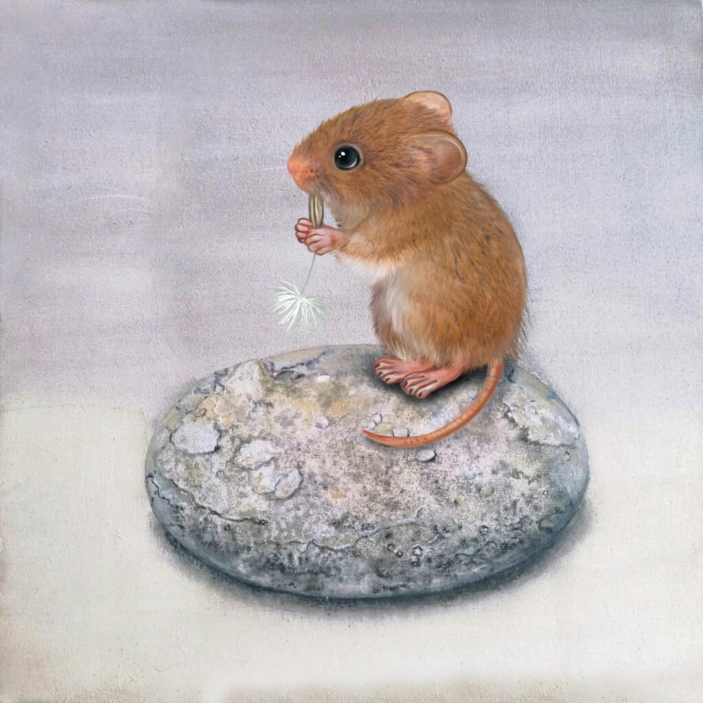 SASSI E ROCCE, GLI ELEMENTI DELLA NATURA CON GLI ACQUERELLI GRANULATI - Workshop di acquerello con Winsor & Newton