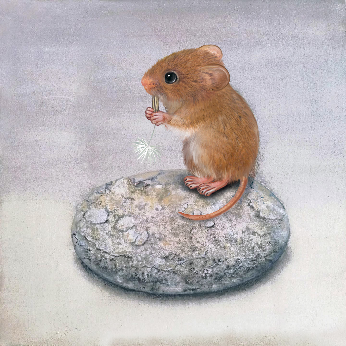 SASSI E ROCCE, GLI ELEMENTI DELLA NATURA CON GLI ACQUERELLI GRANULATI - Workshop di acquerello con Winsor & Newton
